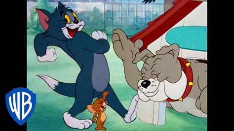 Tom jerry cartoon old - energyberlinda