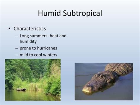 Definition Of Humid Subtropical - DEFINITION KLW