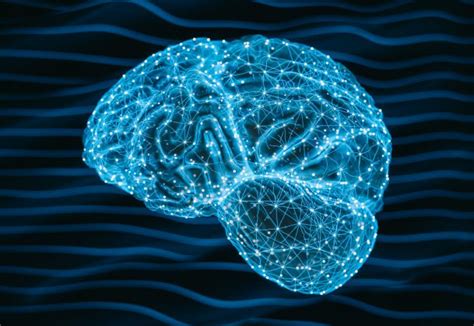 NIH Funding Opportunity for Neuroimaging Data Secondary Analysis – Association for Psychological ...