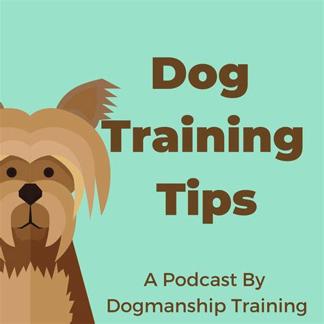 Dog Training Tips