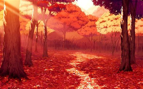 Forest Drawing Wallpapers - Top Free Forest Drawing Backgrounds - WallpaperAccess