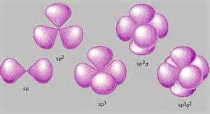 Hybrid Atomic Orbitals