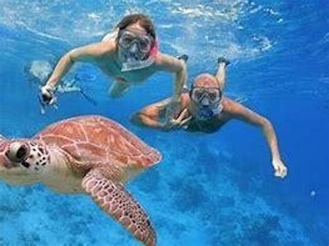 San Juan Snorkeling Tour | San Juan Tours