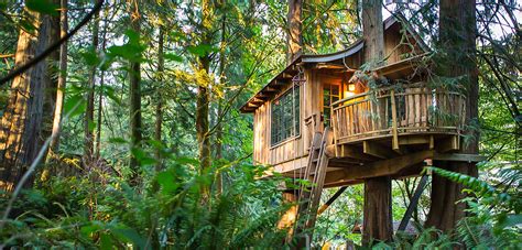 TreeHouse Point