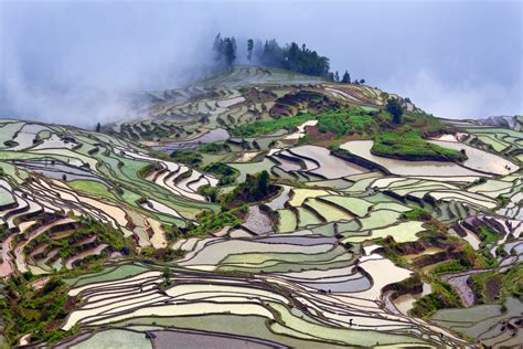 The Most Beautiful Rice Paddies in China