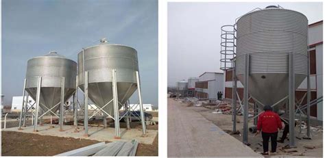 Pig Feeding Systems, Automatic Pig Farming Equipment Manufacturer.