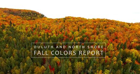 Minnesota North Shore Fall Colors Report 2019 - Perfect Duluth Day