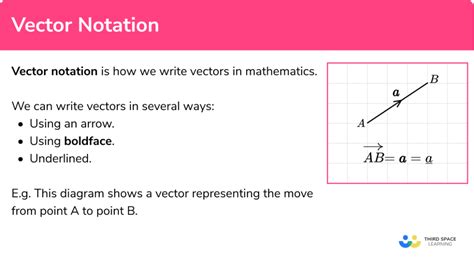 Vector Notation - GCSE Maths - Steps, Examples & Worksheet