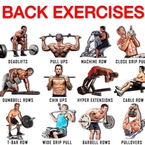 BEST BACK EXERCISES . . 3 reasons why you should workout your back . Strong lats giv ...