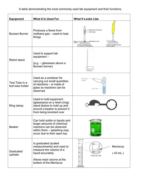 Common Laboratory Equipment Worksheet - Printable Word Searches