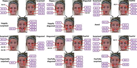 Facial Expressions Chart Psychology