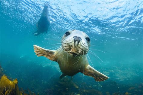 10 underwater photos that show the wonder of the ocean | OverSixty