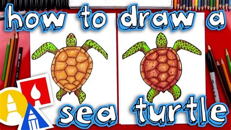 Art Hub For Kids How To Draw A Turtle / Step by step drawing tutorial on how to draw a turtle ...