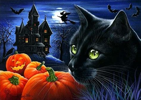 Black Cat Halloween Wallpapers - Top Free Black Cat Halloween Backgrounds - WallpaperAccess