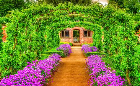 Vibrant Spring Garden HD Wallpaper: A Pathway of Greenery and Purple Blooms