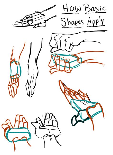 The Animation Student Collective Blog: Hand Drawing Tutorial Notes