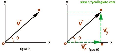 Define Vector Resolution at Vectorified.com | Collection of Define Vector Resolution free for ...