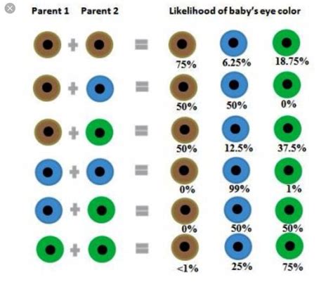 How To Choose Your Babys Eye Color Eye Color Chart, Baby Eyes, Big Noses, Some Body, Little ...