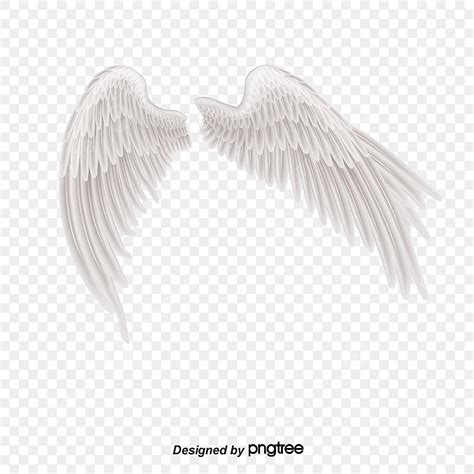 White Angel Wings, Angel, White, Feather PNG Transparent Clipart Image and PSD File for Free ...