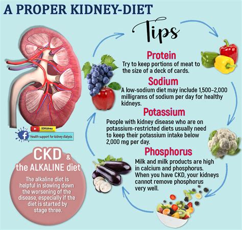 Diet For Ckd Stage 3 Patient Education