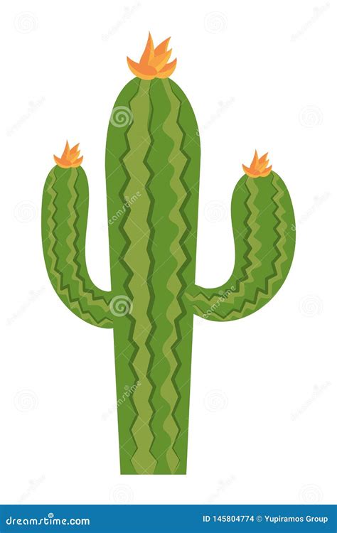 Desert cactus cartoon stock vector. Illustration of mexican - 145804774