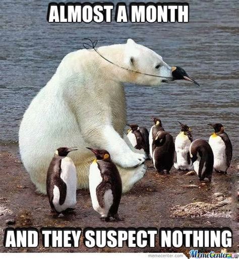 15 Hilarious Polar Bear Memes