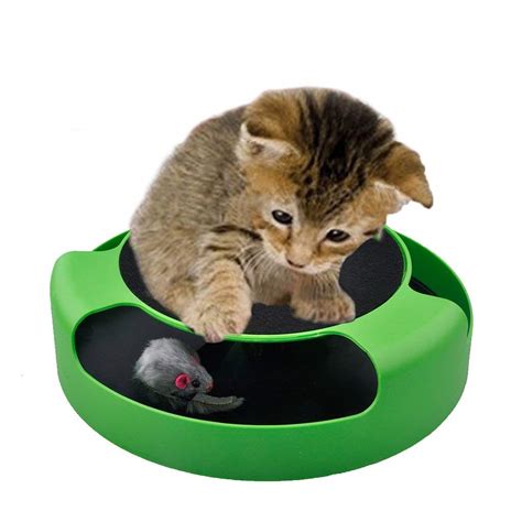 2 in 1 Interactive Cat Toys – Product Testing Group