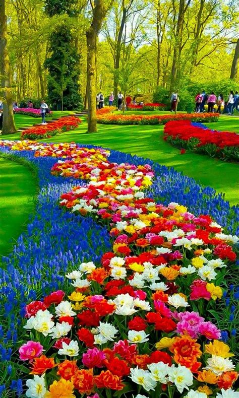 Flower Garden Wallpapers For Phone | Best Flower Site