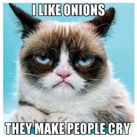 Top 40 Funny Grumpy cat Pictures and Quotes | Quotes and Humor