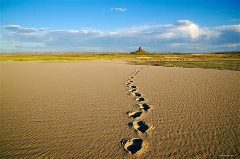 Boar's Tusk Tracks | Killpecker Sand Dunes WSA, Wyoming | Dave Showalter Nature Photography