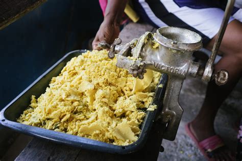 The Best Places to Eat Roti in Trinidad and Tobago