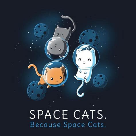 Space Cats | Funny, cute & nerdy t-shirts - TeeTurtle