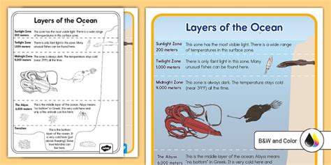 Printable Ocean Layers Worksheet | Twinkl USA (Teacher-Made)