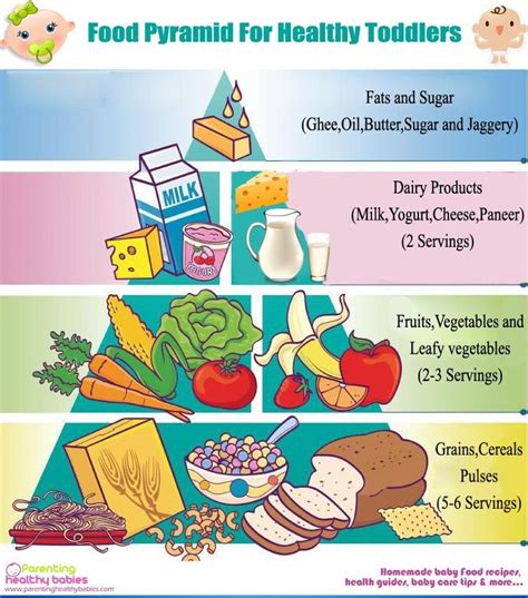 Food Pyramid and Vegetarian Balanced Diet for Your Super Healthy Toddler ...