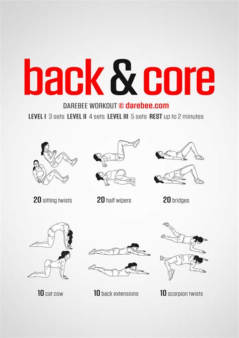 Back & Core Workout