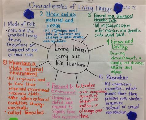 50 Characteristics Of Life Worksheet Answers