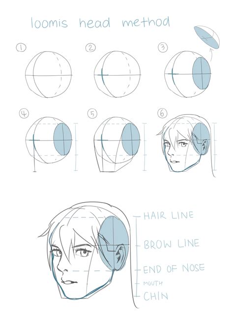 Face Anatomy Drawing Anime | DRAW IT OUT