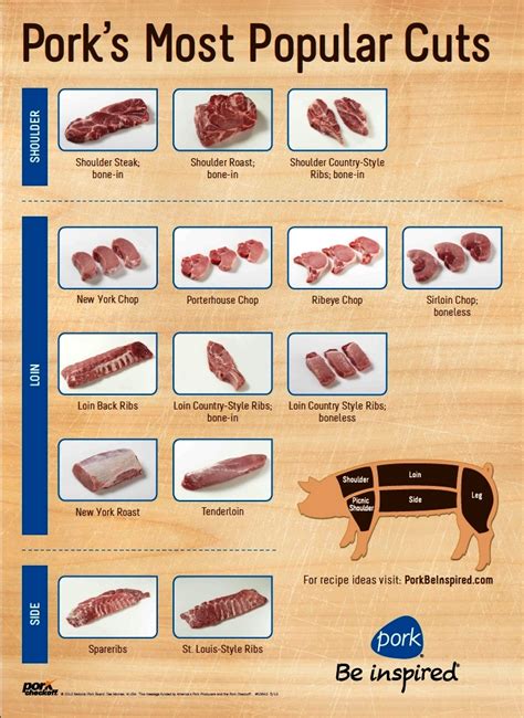 Cuts of pork chart pdf - hackerklo