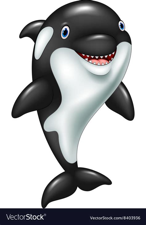 Cartoon funny killer whale standing Royalty Free Vector