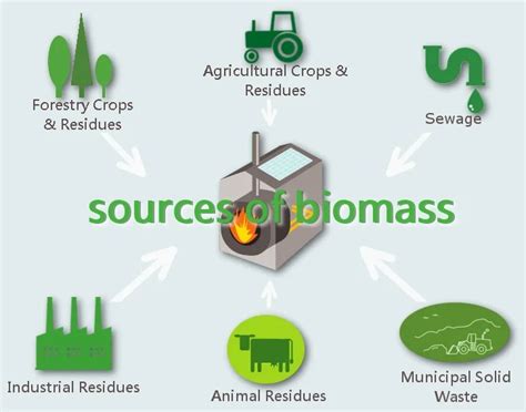 Types of Biomass | BioEnergy Consult