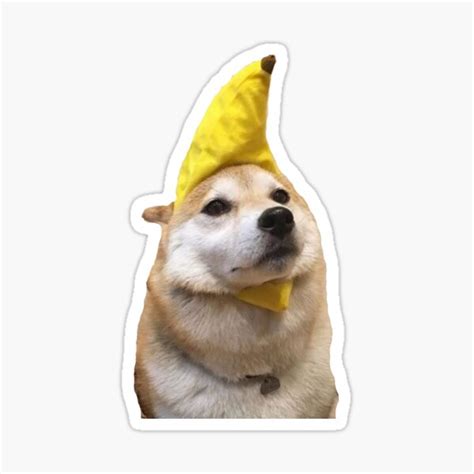 "cute dog in banana costume" Sticker for Sale by courtneyklich | Redbubble