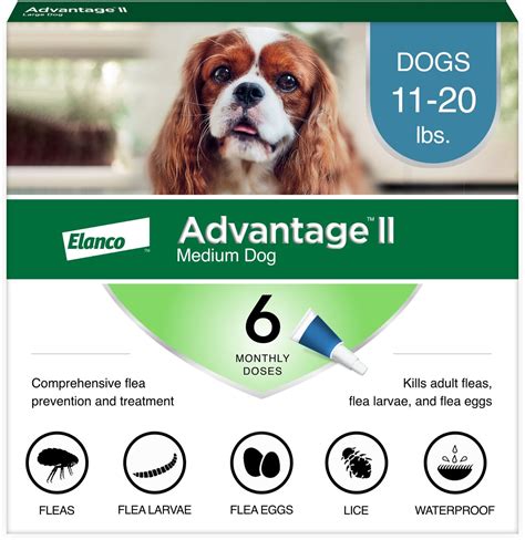 Advantage II Flea Treatment for Medium Dogs, 11-20 lbs, 6 treatments - Chewy.com