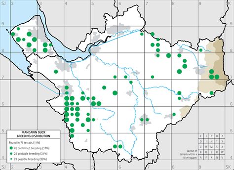 Mandarin Duck breeding distribution maps