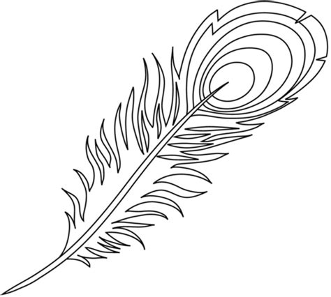 Peacock Feather coloring page | Free Printable Coloring Pages