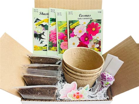 Butterfly Garden Kit Butterfly Garden Seed Kit Gift for - Etsy