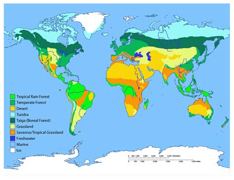 Map of Biome Locations in the World - Temperate Rain Forest