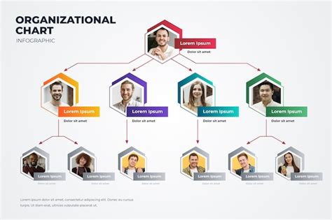 Organization chart template Vectors & Illustrations for Free Download | Freepik