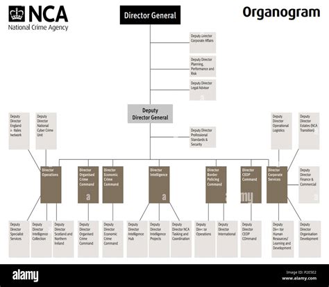 36 National Crime Agency Organisational Chart Stock Photo - Alamy