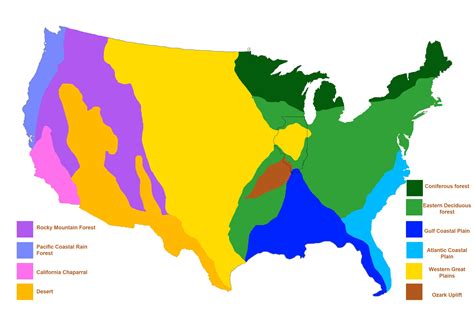 Biome Map With Biomes