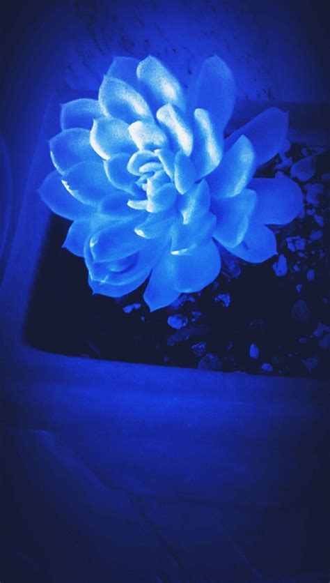 Light Blue Aesthetic Wallpaper for Mobile Free Download